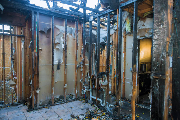 Professional Fire Damage Removal technician working in Morgantown, MS